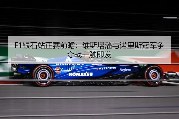 F1银石站正赛前瞻：维斯塔潘与诺里斯冠军争夺战一触即发